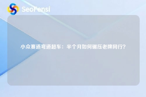 小众赛道弯道超车：半个月如何碾压老牌同行？