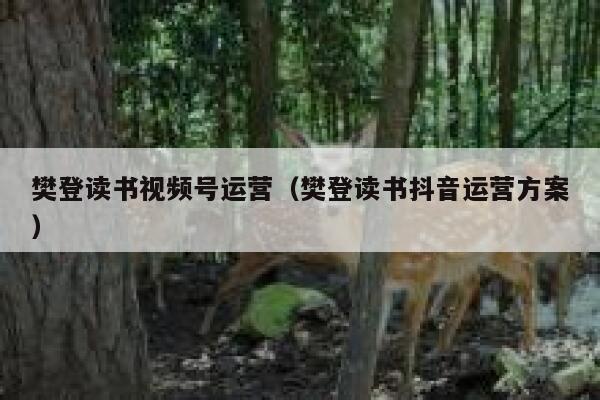 樊登读书视频号运营（樊登读书抖音运营方案）