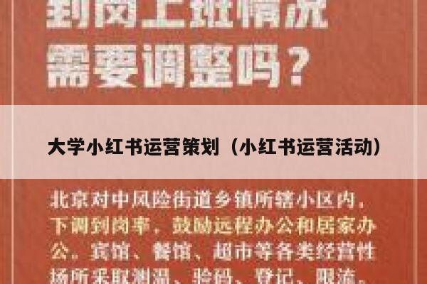 大学小红书运营策划（小红书运营活动）