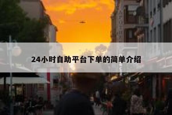 24小时自助平台下单的简单介绍