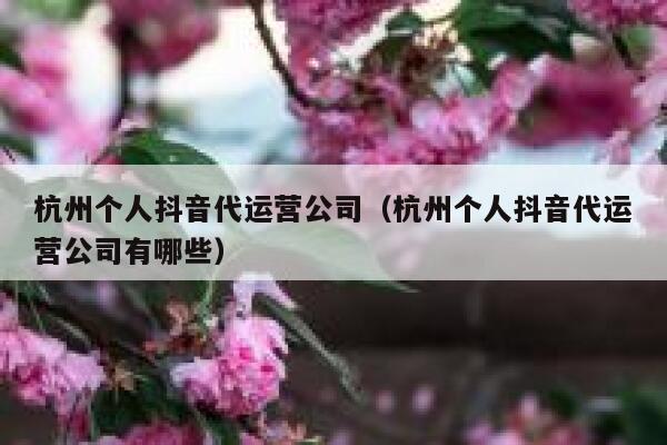 杭州个人抖音代运营公司（杭州个人抖音代运营公司有哪些）