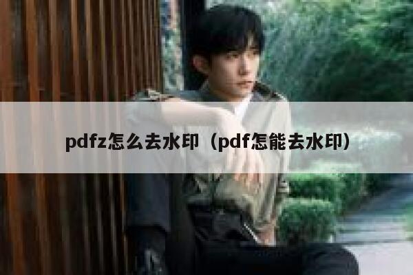 pdfz怎么去水印（pdf怎能去水印）