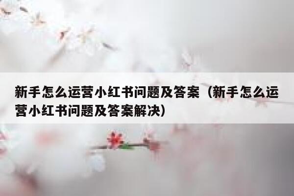 新手怎么运营小红书问题及答案（新手怎么运营小红书问题及答案解决）