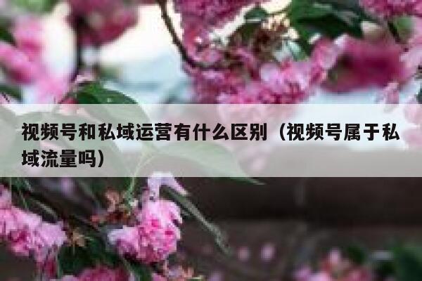 视频号和私域运营有什么区别（视频号属于私域流量吗）