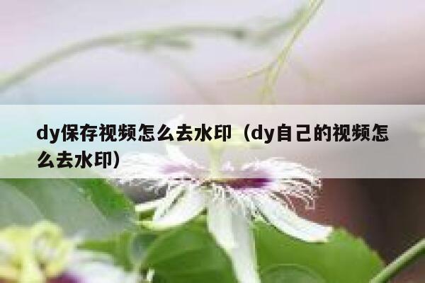 dy保存视频怎么去水印（dy自己的视频怎么去水印）