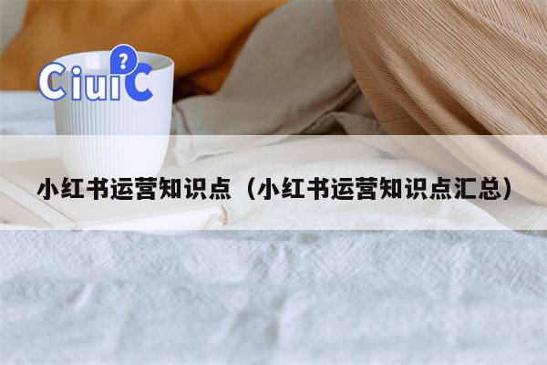 小红书运营知识点（小红书运营知识点汇总）