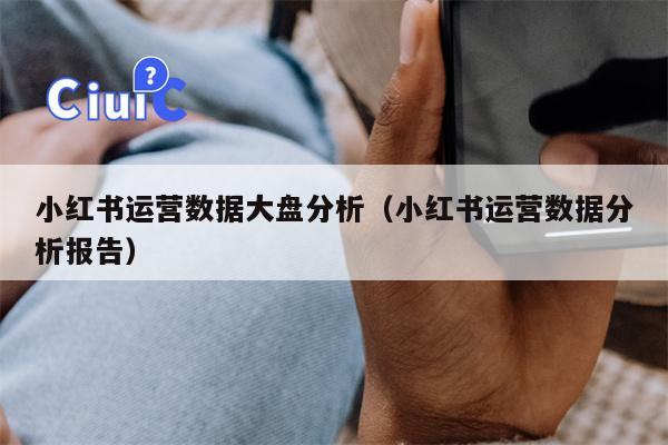 小红书运营数据大盘分析（小红书运营数据分析报告）