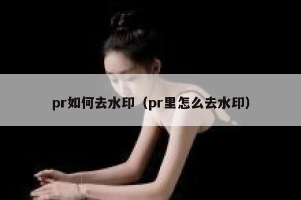 pr如何去水印（pr里怎么去水印）