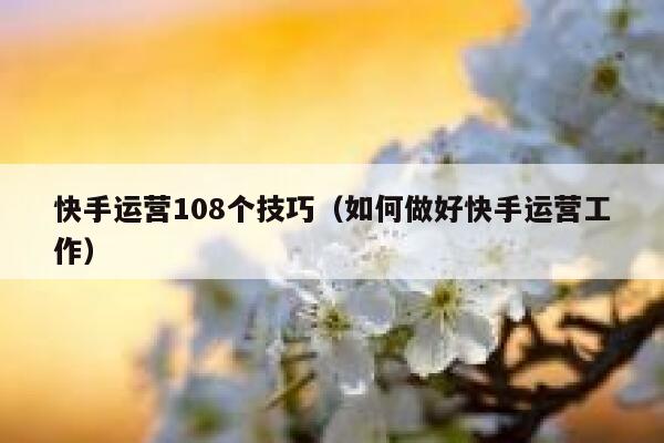 快手运营108个技巧（如何做好快手运营工作）