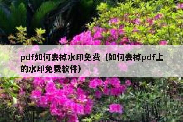 pdf如何去掉水印免费（如何去掉pdf上的水印免费软件）