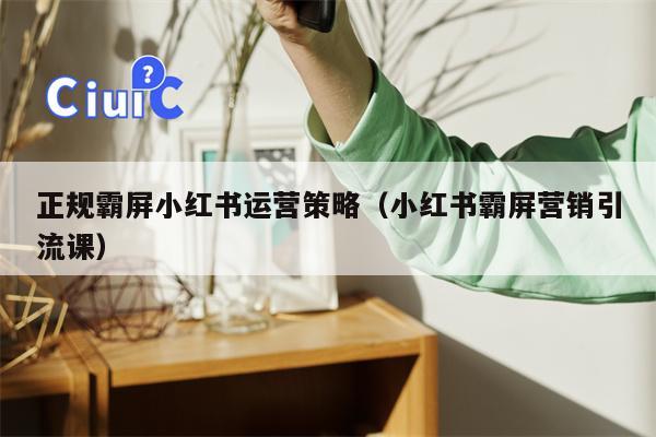 正规霸屏小红书运营策略（小红书霸屏营销引流课）