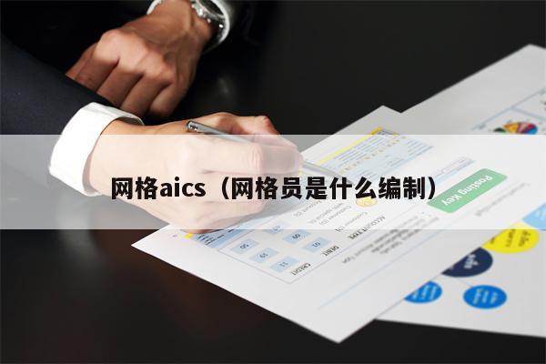 网格aics（网格员是什么编制）