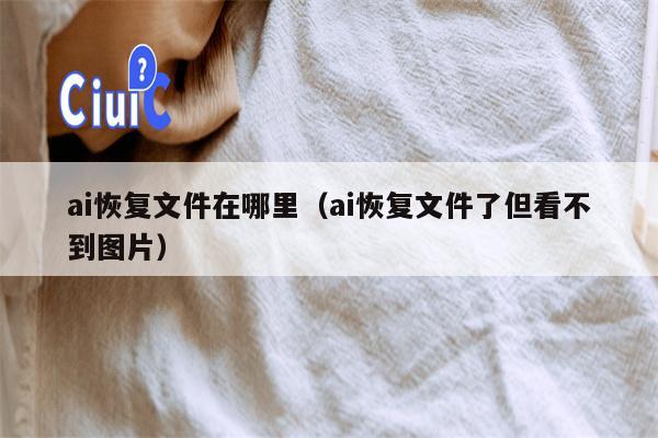 ai恢复文件在哪里（ai恢复文件了但看不到图片）