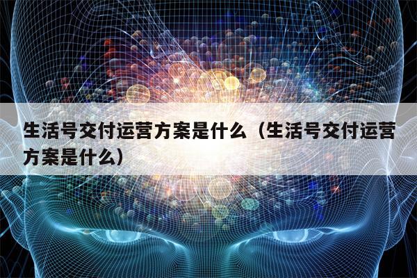 生活号交付运营方案是什么（生活号交付运营方案是什么）