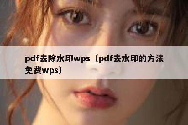 pdf去除水印wps（pdf去水印的方法免费wps）