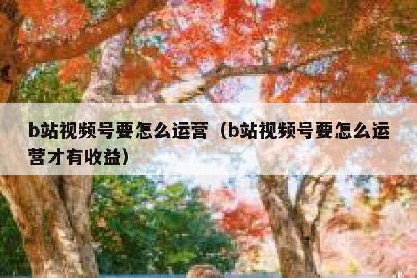 b站视频号要怎么运营（b站视频号要怎么运营才有收益）